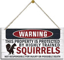 Warning Signs, The Property is Protected By Highly Trained Squirrels Sign, Decorative Wood Hanging Wood Plaque, Funny Warning Decor, Door Gate Hanger, Cute and Funny Garden Decor, Yard Decor by CozyNest Decor