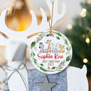 Unifury Personalized Baby First Christmas Ornament 2024, Keepsake for Babies First Christmas Tree, Holiday Decor for Celebrating Ceramic Babys 1st Christmas Ornament 2024, Safari Animal Holly by TinyTreasures Baby Boutique