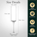 JYB&XY Champagne Flutes Set of 6 Hand Blown Elegant Champagne Glasses With Long Stem Elegant Sparkling Wine Stemware 6.5oz- for Women, Men, Wedding, Anniversary, Christmas, Birthday,Parties by CozyNest Decor