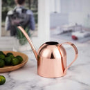 IMEEA Small Watering Can for Indoor Plants Stainless Steel Indoor Watering Can with Long Spout, 15oz/450ml by GreenHaven Gardens