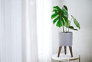 D'vine Dev 8 Inch Planter Pot with Stand, Mid-Century Tall Plant Pot with Legs for Indoor Plants, Small, Grey, 88-O-A-3 by GreenHaven Gardens