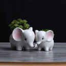 Ogrmar 2PCS Elephant Plant Window Boxes Cute Elephant Flower Pot/Modern White Ceramic Succulent Planter Pots/Tiny Flower Plant Containers Animal Decor by GreenHaven Gardens