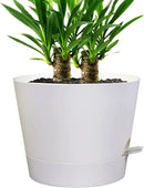 Self Watering Pots for Indoor Plants,12 inch Planters with Drainage Holes Plastic Flower Pots with Deep Reservoir, White by CozyNest Decor