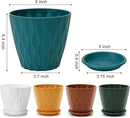 6 inch Plant Pots, 5 Pack Flower Pots Outdoor Indoor, Planters with Drainage Holes and Tray Saucers（Multicolor） by GreenHaven Gardens