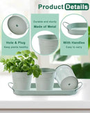 vensovo Indoor Herb Planter Set - Galvanized Windowsill Garden Pots with Tray & Drainage, Set of 3 Metal Window Planters for Kitchen & Outdoor Use, Light Green by GreenHaven Gardens