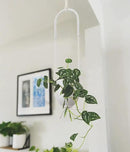Boho Hanging Planter for Indoor Outdoor Plants Modern Wall and Ceiling Hanging Plant Basket Holder Hanger for Vines Succulents Ferns Room Decor(White) by GreenHaven Gardens