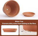 INGOFIN Terracotta Pot with Saucer - 10 Inch Ceramic Clay Pot for Plants with Drainage Hole, Large Terra Cotta Flower Planter with Tray for Indoor Outdoor Plants by CozyNest Decor