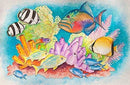 Color Swell Bulk 8 Color Watercolors with Wood Brushes - 4 Packs by TinyTreasures Baby Boutique