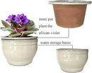 African Violet Pots Self Watering Round Ceramic Violet Pot (White, 6 inch) by GreenHaven Gardens