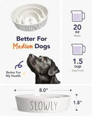 Slow Feeder Dog Bowl - 1.5 Cups Ceramic Puzzle Feeder for Small & Medium Breeds, Maze Design Bowl for Puppy & Fast Eaters, White Pet Dish to Control Eating Speed by CozyNest Decor