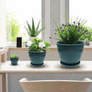Plant Planters with Drainage Holes and Trays Pack of 6 Plant Pots Indoor and Outdoor Flowers Pots Different Size Plastic Pots, Dark Green by GreenHaven Gardens