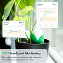 Flora Pod AI-Powered Smart Plant Monitor | for Indoor or Outdoor Plants | Personalized Alerts for Moisture, Temperature, Humidity, and Light by GreenHaven Gardens