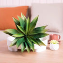 Veryhome Succulents Plants Artificial Aloe Plant, 12.5Inch Large Faux Succulents Unpotted, Premium Crafting DIY Greenery Decor for Indoor & Outdoor(Green) by GreenHaven Gardens
