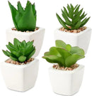 Hollyone Succulents Plants Artificial 4Pcs Small Fake Succulents in Pots Faux Plastic Potted Plants with White Ceramic Pot for Home Decor Office Desk Bathroom Shelf Indoor & Outdoor Decoration by GreenHaven Gardens