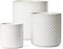 LE TAUCI 6+8+10 Inch Plant Pots Indoor, Ceramic Planter Pots for Plants, Raised Dots Flower Pots Indoor for Home and Office, Mid-Modern Century Pots with Drainage Hole and Plug, Glaze Arctic White by GreenHaven Gardens