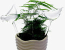 Glass Plant Watering Globes, Self Watering Globes Bird Shape, Self Watering Planter Insert, Plant Watering Devices, Automatic Plant Waterer Indoor, Watering Bulbs, 3 Pack by GreenHaven Gardens