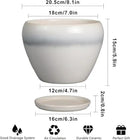Ceramic Planter - 8 Inch Plant Pot with Drainage Hole and Saucer, Glaze Round Flower Pot for Home Garden Patio Office, White by GreenHaven Gardens