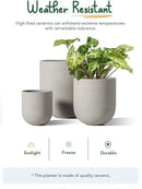 LE TAUCI 6+8+10 Inch Plant Pots Indoor, Ceramic Planters for Indoor Plants, Cylinder Pots with Drainage Hole and Plug, Planter Pots for Home Office Room Patio, Set of 3, Neutral Gray by GreenHaven Gardens