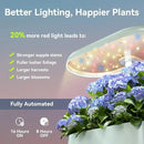inbloom Hydroponics Growing System Kit Indoor Garden with LED Grow Light and Pod Kit, Plants Germination Kit for 5 Pods, Mufga Hydroponics Garden, Height Adjustable, Gardening Gifts(Green) by GreenHaven Gardens