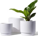 LE TAUCI Ceramic Plant Pots with Drainage Holes, Set of 3, 8+6.7+5.5 Inch Stripe Garden Planter Pots for Outdoor Indoor Plants Flower, Round Succulent Orchid Flower Pot, Small to Large Size, White by GreenHaven Gardens