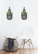 2PK Wall Planters for Indoor Plants, Macrame Plant Hanger | Wall Planter, Plant Hanger, Hanging Planter (2PK, for 6 inch Pot) by CozyNest Decor