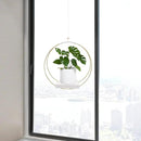 Hanging Planters for Indoor Plants, Plant Hanger with Sturdy Wood Base,Modern Boho Macrame Plant Hanger,Wall Ceiling Window Stands(Plants/Pots Not Included) by GreenHaven Gardens