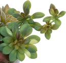 MyGift Assorted Indoor Fake Plants Artificial Succulent Arrangement in Round Gray Cement Planter Pot by CozyNest Decor