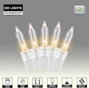 150LIGHTS WARM WHITE Extra-Bright With End Connectors Christmas Decorative Lights 9.72m UL Certified Mini String Light Set Waterproof for Home Garden Holiday Christmas Tree Party Patio Wedding by CozyNest Decor