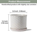 5.8 Inch Plant Pot: Ceramic Planter with Drainage Hole & Saucer - Flowerpot for Indoor & Outdoor Plants with Separate Tray for Home & Office - Honeycomb Design, Cream White by GreenHaven Gardens