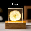 Flower Crystal Ball Night Light,2.4 inch Glass Ball Night Lamp with Woodern Base (Dandelion 1) by GreenHaven Gardens