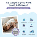 Moonlight Slumber Air Crib Mattress – Breathable, Washable, Dual-Sided Infant and Toddler Mattress with Open Core Design, Foam-Free, Hypoallergenic, 5.5", Standard Crib Size, Made in USA by TinyTreasures Baby Boutique