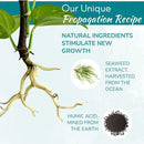 Houseplant Prop Drops - Propagation Promoter & Root Growth Hormone | Root Stimulator for Cuttings | Supports Stronger, Healthier Plants | Easy-to-Use Liquid Formula for Water & Soil Propagation | 8oz