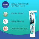 Jagat Devsutra Advanced Toothpaste | Doctor Recommended Ayurvedic, Organic & Herbal | 100% Natural Teeth Whitening, No Fluoride & Artificial Colors, Gum Cure, Vegan - Pack of 4 by CozyNest Decor