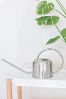Stainless Steel Watering Can for Houseplants by Houseplant Resource Center | 1L Capacity for Indoor/Outdoor Plants in Brushed Silver by GreenHaven Gardens