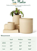 LE TAUCI Large Plant Pots Set, 10/8/6 Inch Ceramic Planters for Indoor Plants, Mid-Century Modern Planter Pots with Drainage Hole and Plug, Round Planter Pots, Set of 3, Reactive Glaze Cloud Cream by GreenHaven Gardens