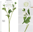 IPOPU 4PCS Real Touch White Ranunculus Artificial Flowers Faux Ranunculus Flowers for Vase Real Look Silk Peonies Fake Peony Flowers for Home Indoor Wedding Centerpieces for Table Decorations (White) by CozyNest Decor