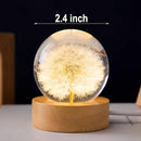Flower Crystal Ball Night Light,2.4 inch Glass Ball Night Lamp with Woodern Base (Dandelion) by GreenHaven Gardens