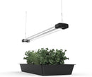 DYMOND Boostgro LED Seed Starter Grow Light 3FT Full Spectrum Linkable 5000k Daylight + 660nm Red + 450nm Blue Indoor Plant Lighting Fixture by GreenHaven Gardens