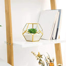 Mkono 4 Inches Mini Glass Geometric Terrarium Container Set of 3 Modern Tabletop Planter Shelves Decor Display Centerpiece for Succulent Miniature Fairy Garden Air Plant, Gold (Plant Not Included) by CozyNest Decor