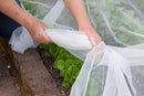 Agfabric Garden Netting 6.5'x49' Barrier Net, Bird Netting for Garden Trees Vegetable and Plants, White by GreenHaven Gardens