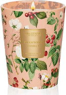 M&SENSE Strawberry Vanilla Scented Natural Soy Wax Candle, 14.1oz 60 Hours Long Lasting Slow Burning Candles for Home Decor, Aromatherapy Candle for Stress Relief by CozyNest Decor