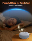 Dreamegg White Noise Machine - Portable Sound Machine for Baby Adult, Features Powerful Battery, 21 Soothing Sound, Noise Canceling for Office & Sleeping, Sound Therapy for Home, Travel(2Light Blue) by TinyTreasures Baby Boutique