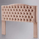 24KF Upholstered Tufted Button Velvet Headboard,Comfortable Fashional Headboard Queen/Full Size,Blush by CozyNest Decor