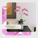 Faux Pink Orchid Plant, Premium Artificial Indoor Flower Display Stands 24”, Beautiful Sculptural Blooms That Lasts Forever, Grey Planter Pot Included by CozyNest Decor