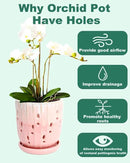 vensovo 6 Inch Ceramic Orchid Pot - Orchid Pot with Holes for Repotting, Ceramic Planter with Saucer for Indoor/Outdoor Plants, Pink by GreenHaven Gardens