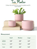 LE TAUCI Ceramic Plant Pots, 4.3+5.3+6.8 inch, Set of 3, Planters with Drainage Hole and Saucer, Indoor Flower Pot with Hole Mesh Pad, Gifts for Mom, Pink by GreenHaven Gardens