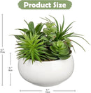 Fake Plants Artificial Succulents in Pots Faux Succulent Arrangement Potted Plant in White Ceramic Planter Bowl for Home Decor Office Desk Bathroom Shelf Living Room Indoor Decorations by GreenHaven Gardens