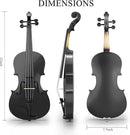 3/4 Beginner Violin Kit,Complete Violin Set with Case, Bow, Rosin,Black by TinyTreasures Baby Boutique