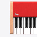 Loog Digital Piano - Portable Keyboard for Beginners with Musician Grade Sound, MIDI Over USB-C Rechargeable Musical Educational Instrument by TinyTreasures Baby Boutique