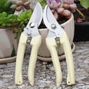 BUGUI Bypass Garden Pruning Shears - 2 Pack, Ultra Lightweight Hand Pruners Make Cut Smooth & Clean, Professional Gardening Scissors for Cutting Live Flowers, Plants, Light Branches by GreenHaven Gardens